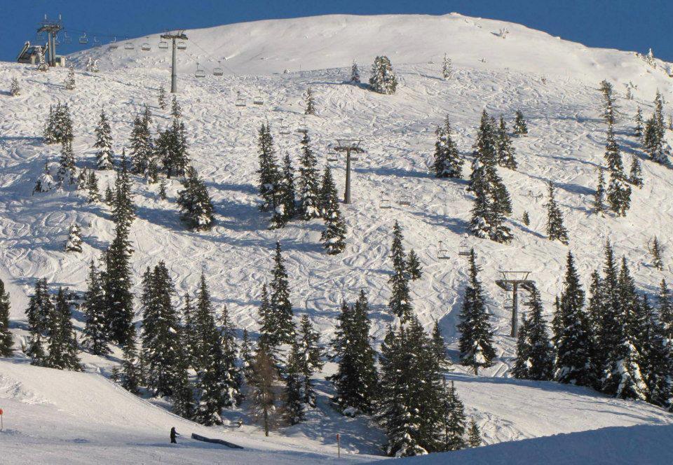Landgut Hotel Plannerhof Planneralm Luaran gambar